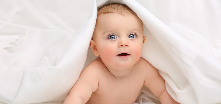 Actualité Daytona - Biostime